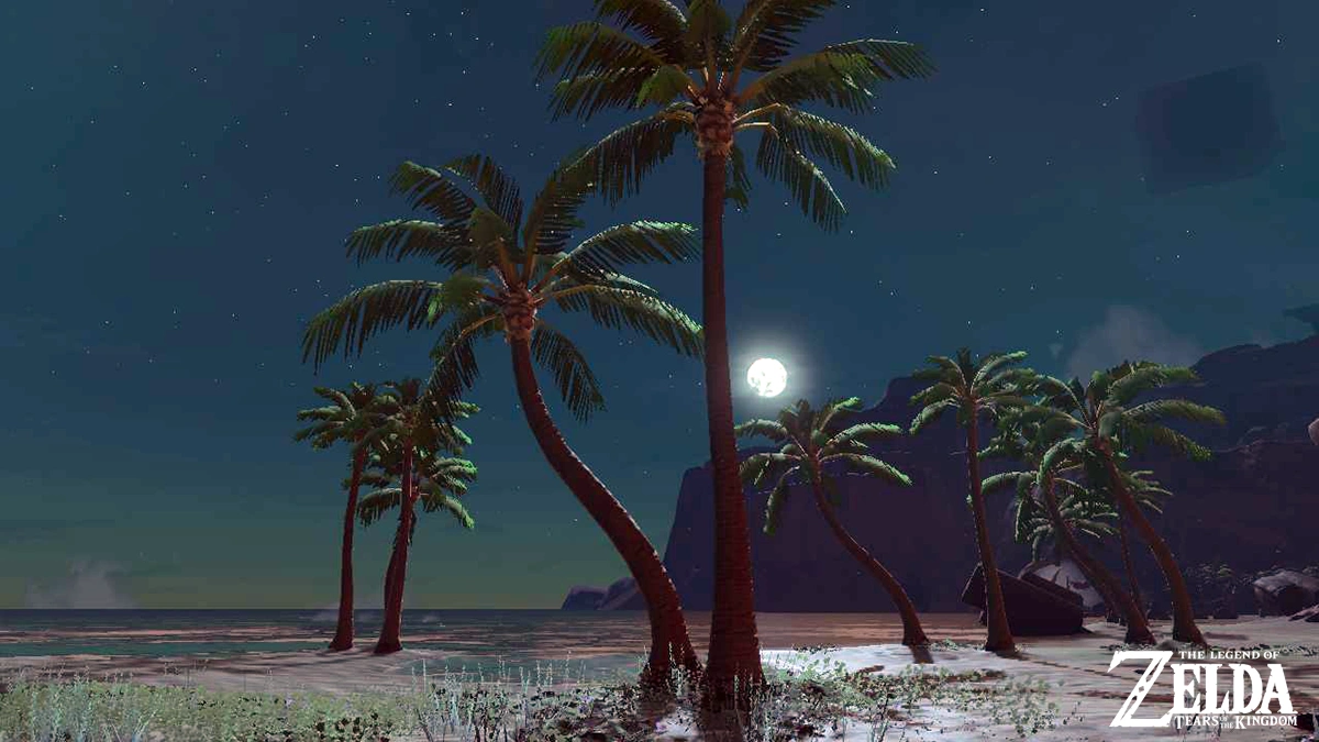 A peaceful beach with a coconut tree in the foreground, showcasing Hyrule’s diverse landscapes.